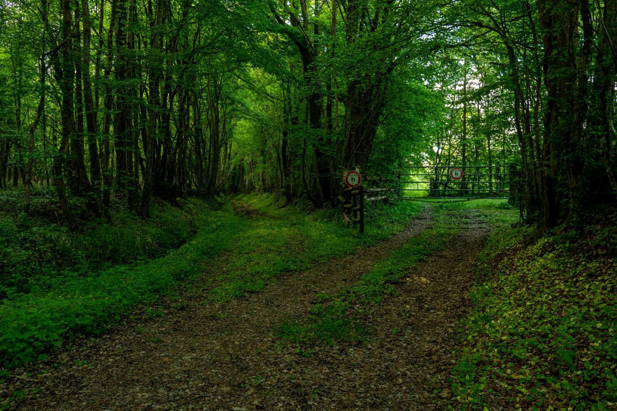 RémalardMoulin De Boiscorde, Centre Perche住宿加早餐旅馆 外观 照片