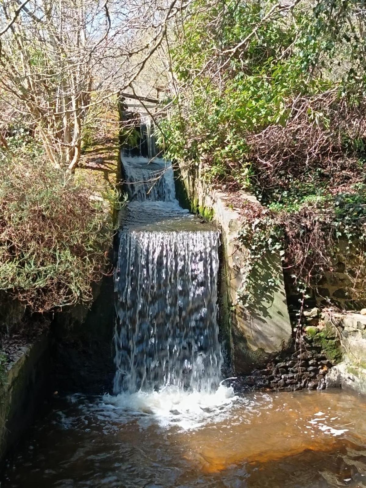 RémalardMoulin De Boiscorde, Centre Perche住宿加早餐旅馆 外观 照片