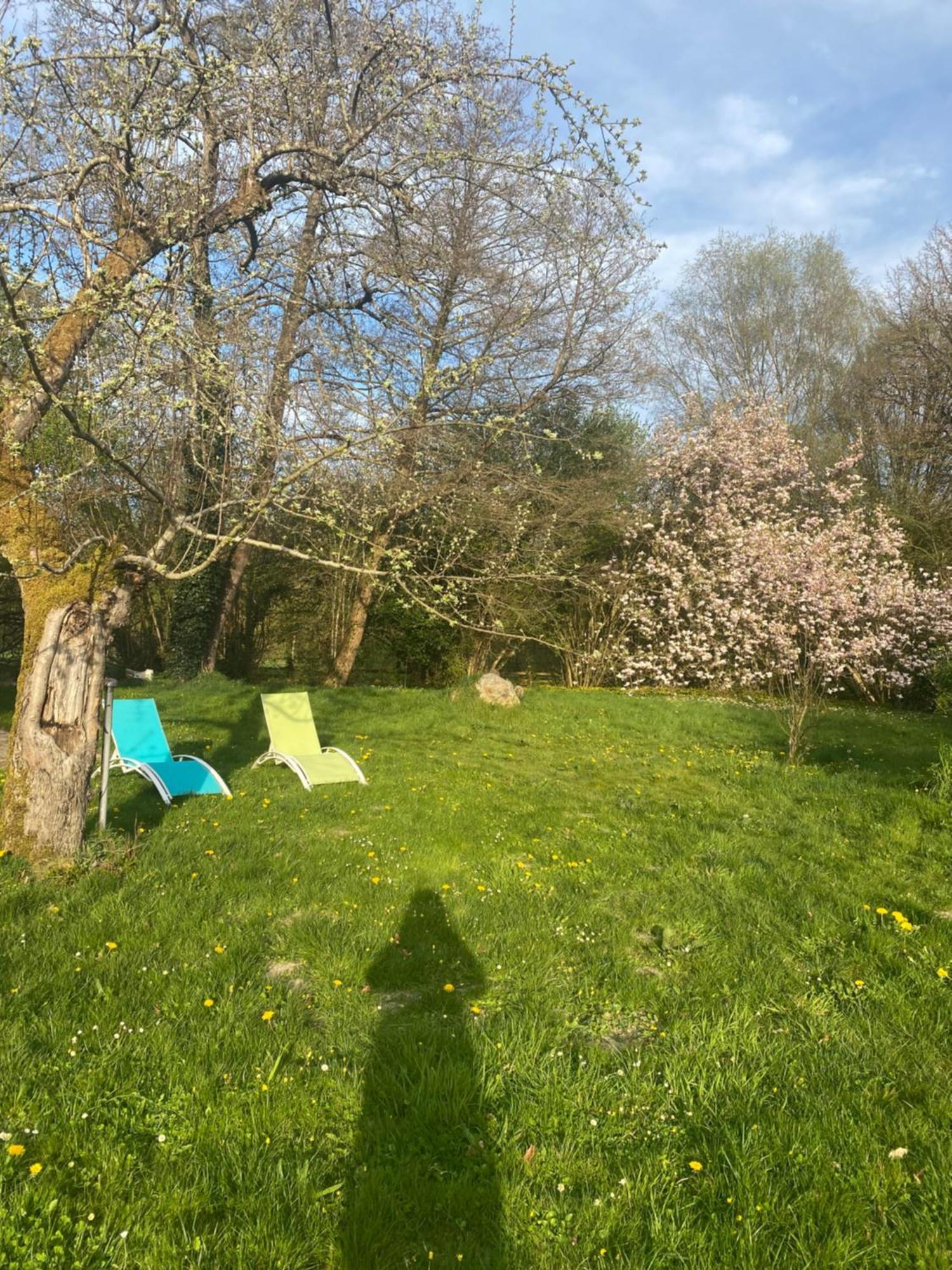 RémalardMoulin De Boiscorde, Centre Perche住宿加早餐旅馆 外观 照片